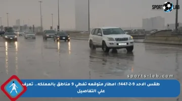 طقس الأحد 9-2-1447: أمطار متوقعة تغطي 9 مناطق بالمملكة.. تعرف على التفاصيل